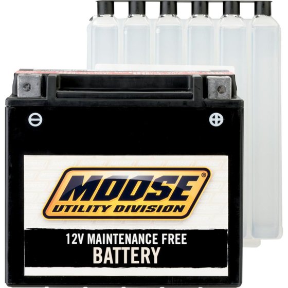 SGX 50 SKY (1997 - 2000) mud battery ytx4l-bs | MOOSE UTILITY DIVISION