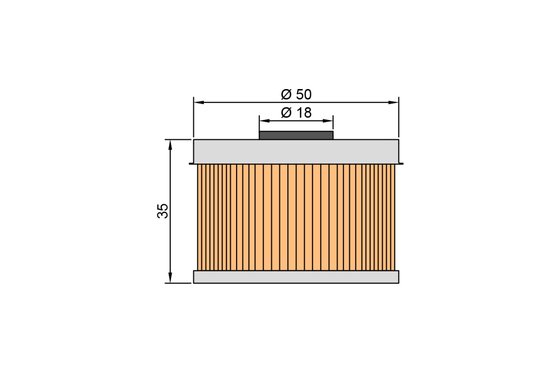 TRX 450 (1998 - 2004) twin air oil filter | TWIN AIR