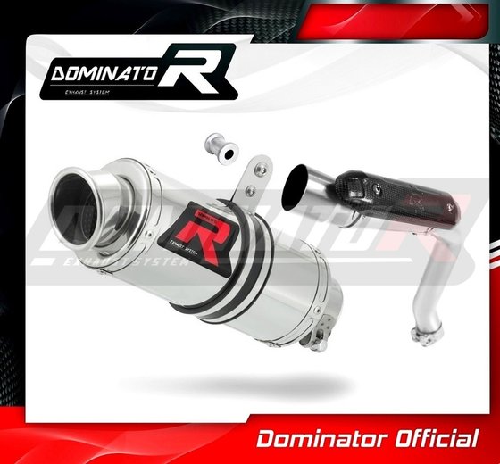 CB 600 F HORNET (2003 - 2006) homologated exhaust silencer gp1 | Dominator