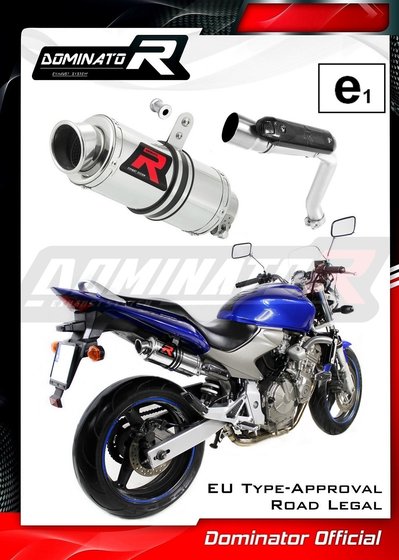 CB 600 F HORNET (2003 - 2006) homologated exhaust silencer gp1 | Dominator