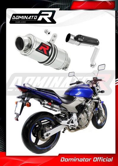 CB 600 F HORNET (2003 - 2006) exhaust silencer muffler gp1 | Dominator