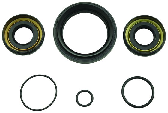 TRX 500 (2014 - 2019) differential seal only kit front | All Balls