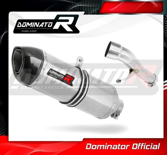 CB 500 (1993 - 2003) exhaust silencer hp1 | Dominator