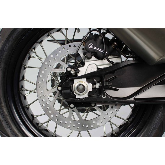 CBR 1000 RR SP (2017 - 2019) halo rear brake disc | MOTO-MASTER