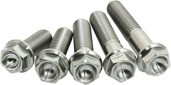 CRF 250 L (2012 - 2019) titanium bolt pack of 2 (m8x30) | SCAR