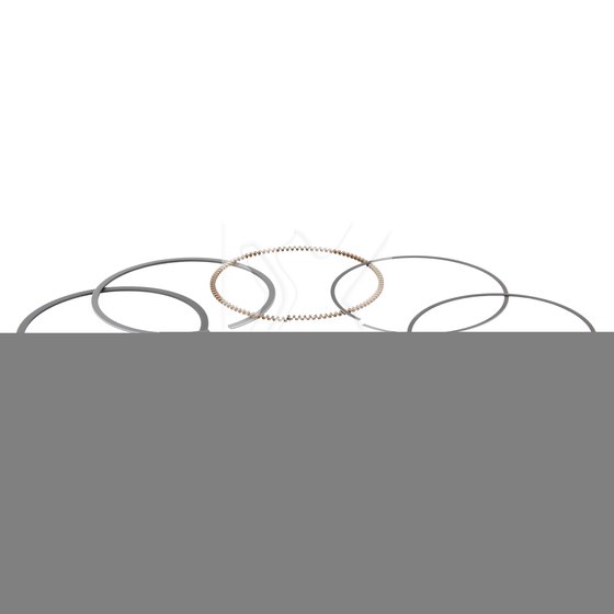 TRX 300 EX SPORTRAX (1993 - 2009) piston rings set | ProX