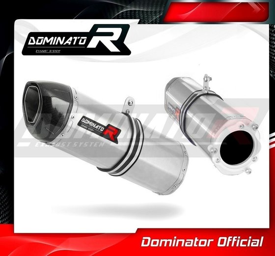 CBR 900 RR FIREBLADE (2002 - 2003) exhaust silencer hp1 | Dominator