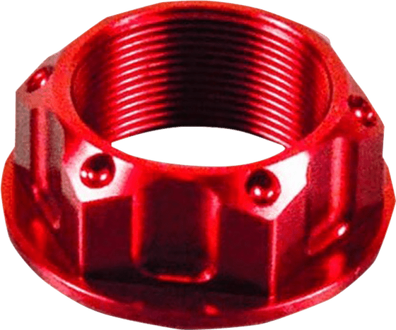 CBR 1000 RR (2004 - 2017) top yoke nut | PRO BOLT