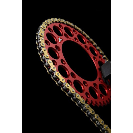 CR 250 R (1984 - 2003) r1 works chain - 520x120 | RENTHAL