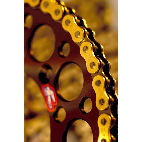 CRF 250 R (2004 - 2009) r1 works 520x114 chain | RENTHAL