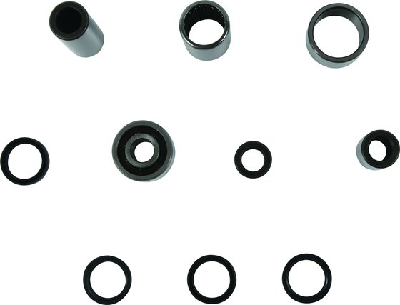 TRX 500 (2012 - 2013) swing arm bearing kit | All Balls