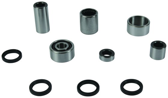 TRX 500 (2012 - 2013) swing arm bearing kit | All Balls