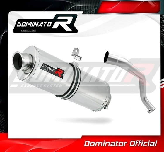 CB 600 F HORNET (1998 - 2002) exhaust silencer oval | Dominator