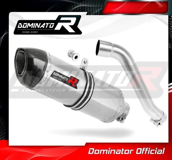 XL 650 V TRANSALP (2001 - 2007) exhaust silencer hp1 | Dominator