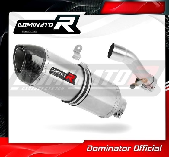 NC 750 S (2012 - 2020) exhaust silencer hp1 | Dominator