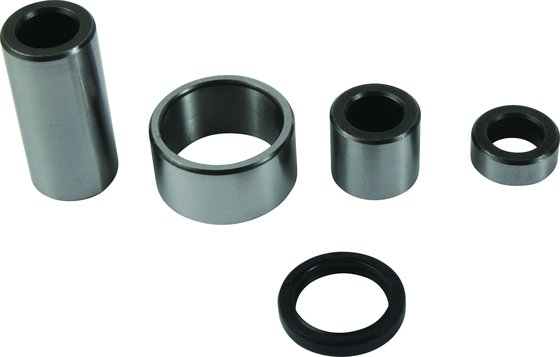 TRX 500 (2012 - 2013) swing arm bearing kit | All Balls