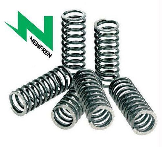 GL 650 SILVER WING (1983 - 1987) clutch springs | NEWFREN