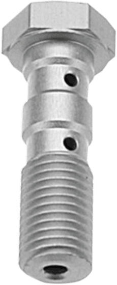 CBR 600 F (1987 - 1990) double banjo bolt | TRW