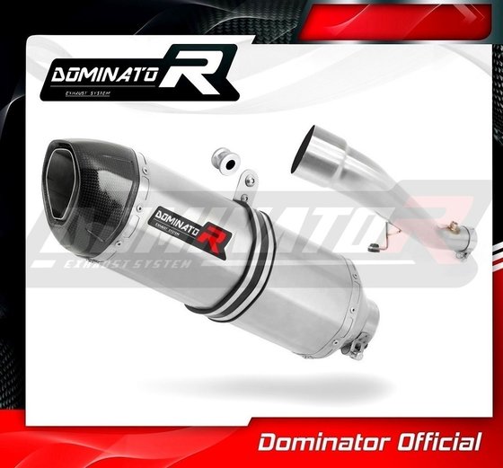 CBR 600 F (2001 - 2006) exhaust silencer hp1 | Dominator