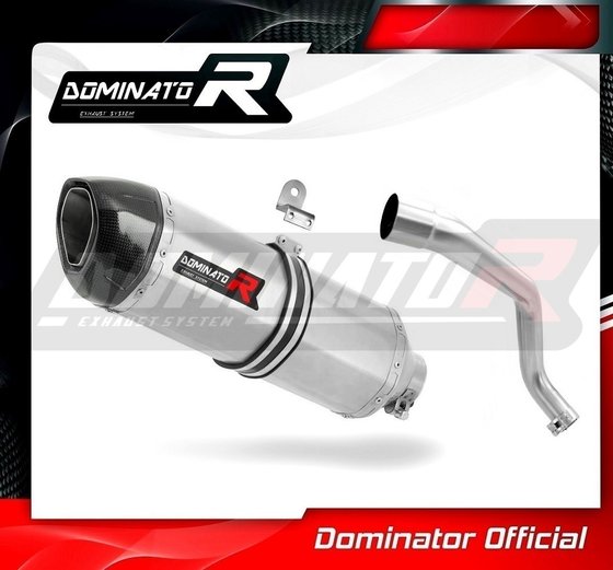 CB 600 F HORNET (1998 - 2002) exhaust silencer hp1 | Dominator