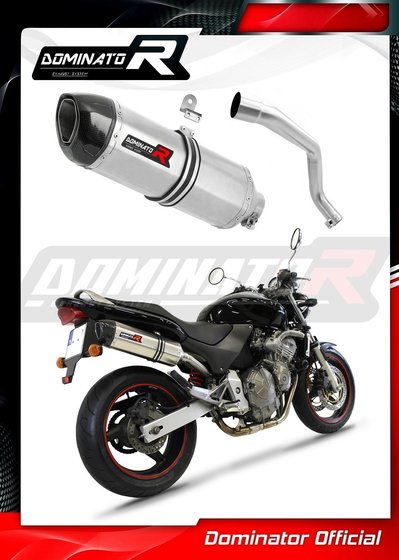 CB 600 F HORNET (1998 - 2002) exhaust silencer hp1 | Dominator