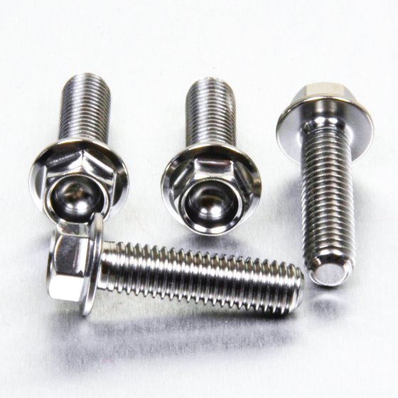 CBR 600 RR (2003 - 2004) brake caliper mounting bolt kit | PRO BOLT