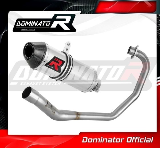 CBF 125 (2009 - 2014) full exhaust system silencer hp3 | Dominator