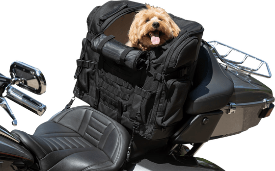 GL 1800 GOLD WING (2001 - 2022) pet palace titan bag | KURYAKYN