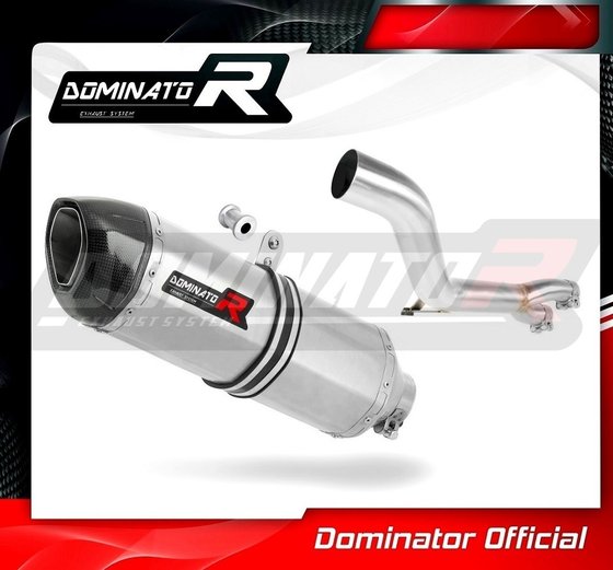 NT 650 GT HAWK (1998 - 2005) exhaust silencer hp1 | Dominator