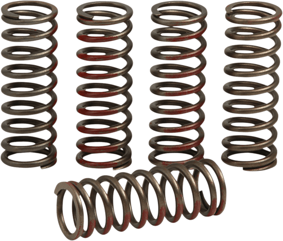 CRF 250 R (2019 - 2021) clutch spring set for honda crf250r/x '20 | PRO CIRCUIT