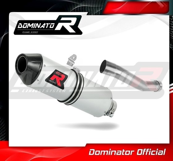 CRF 450 R (2021 - 2021) exhaust silencer mx2 | Dominator