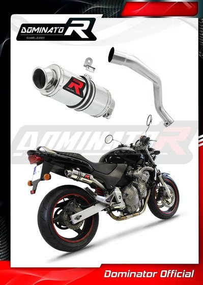 CB 600 F HORNET (1998 - 2002) exhaust silencer gp1 | Dominator