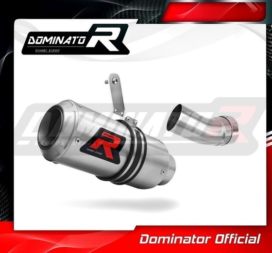 CBR 1000 RR (2017 - 2019) exhaust silencer gp | Dominator