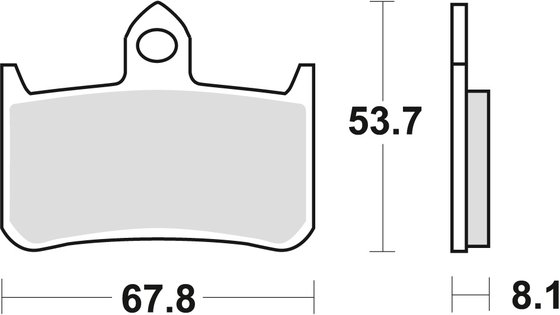 CB 250 TWO FIFTY (1986 - 2002) sintered metal brake pad | TRW