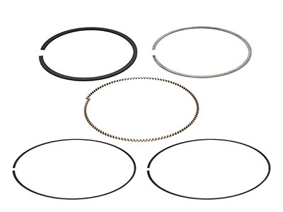 TRX 300 EX SPORTRAX (1993 - 2004) piston rings set | ProX