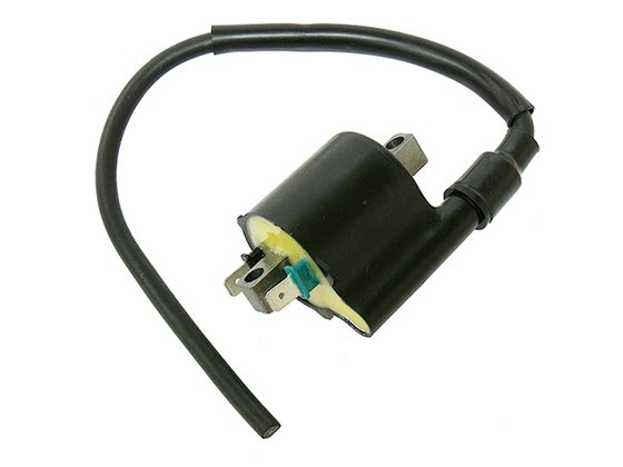 TRX 500 (2012 - 2016) ignition coil | NACHMAN