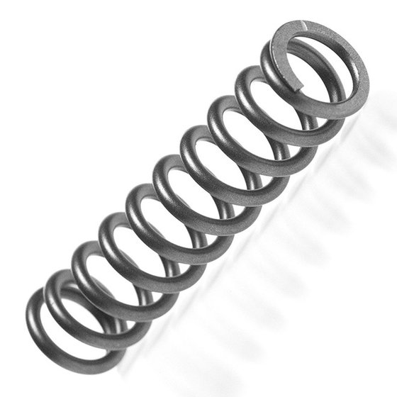 CRF 450 R (2009 - 2012) fork springs - 22 n/mm | KYB