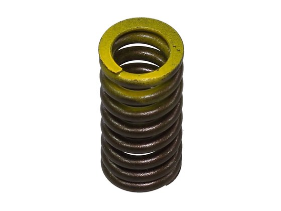 CRF 250 X (2004 - 2013) exhaust valve spring | NACHMAN