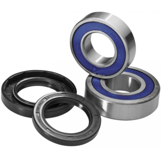 TRX 500 (2014 - 2018) rear wheel bearing set | ProX