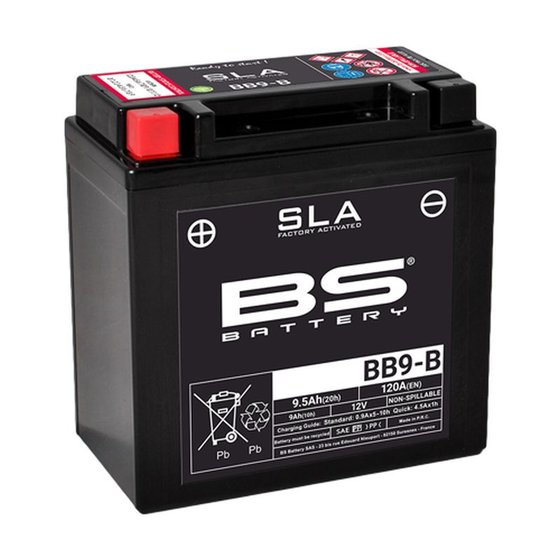 VTR 250 (1988 - 1990) sla battery 12v 115a | BS BATTERY