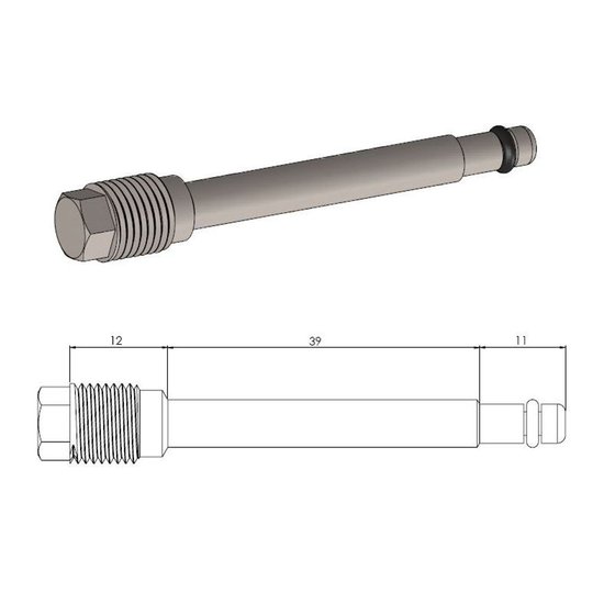 CRF 450 X (2005 - 2022) brake pad pin replacement | MOTO-MASTER