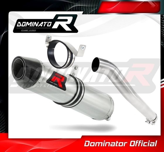 CBR 1000 RR (2006 - 2007) exhaust silencer hp2 | Dominator