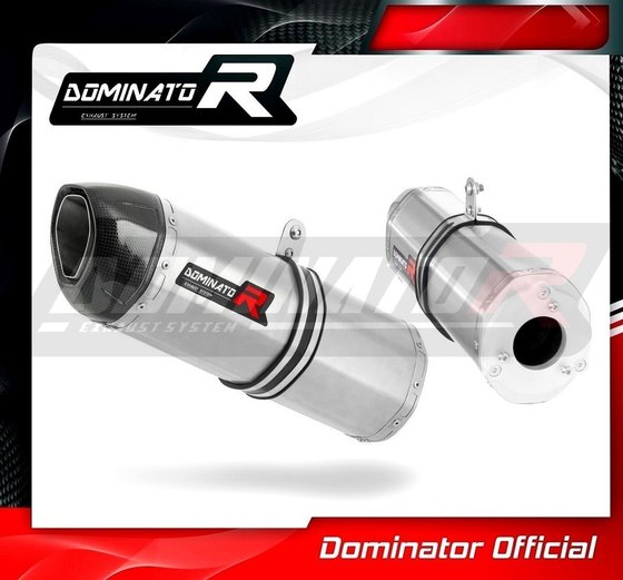 CBR 125 R (2004 - 2010) exhaust silencer hp1 | Dominator