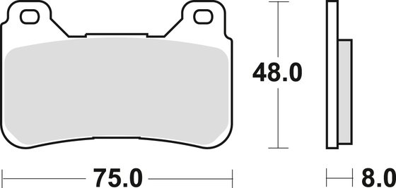 CBR 600 RR (2005 - 2016) lenktyninių stabdžių kaladėlės iš hiper-karbono | TRW