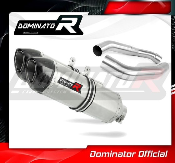 CBR 1000 F (1988 - 2000) exhaust silencer hp1 | Dominator