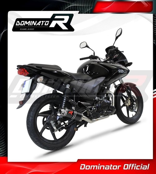 CBF 125 (2009 - 2014) full exhaust system silencer gp1 black | Dominator