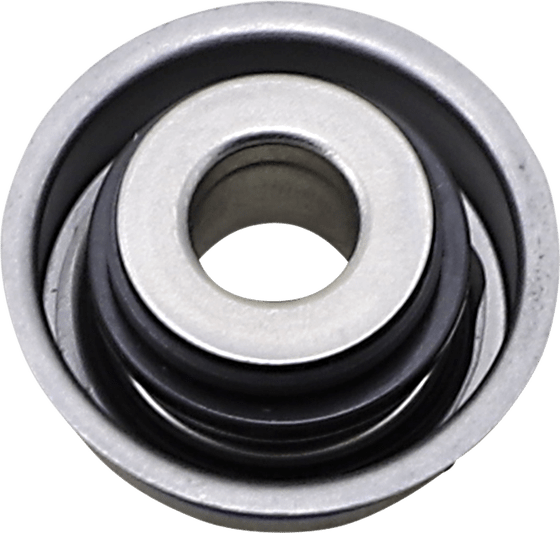 CBF 1000 (2014 - 2015) mechanical water pump seal | Vertex