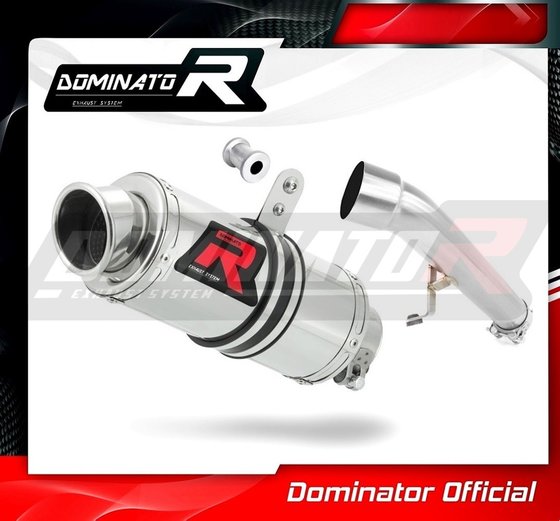 CBR 600 F (1999 - 2000) exhaust silencer gp1 | Dominator