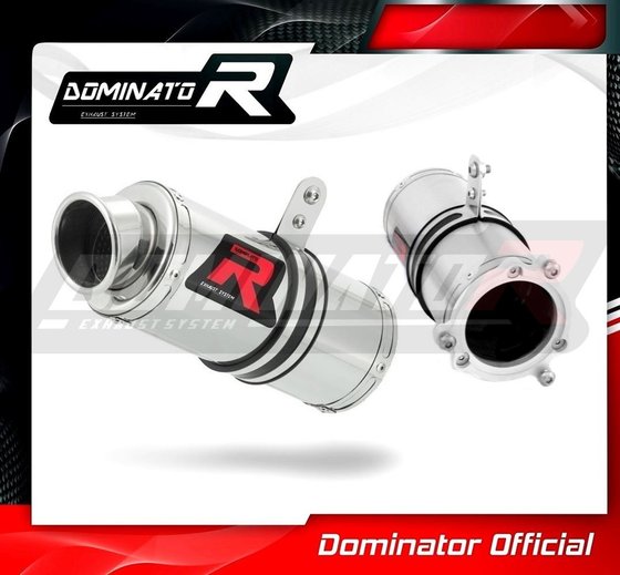 CBR 900 RR FIREBLADE (2002 - 2003) exhaust silencer gp1 | Dominator