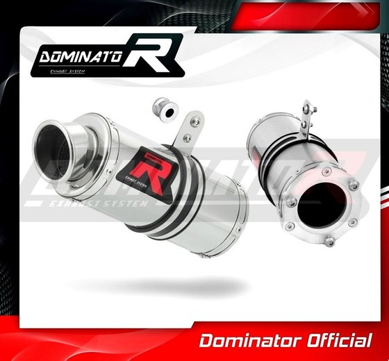 CBR 900 RR FIREBLADE (1992 - 1995) exhaust silencer gp1 | Dominator